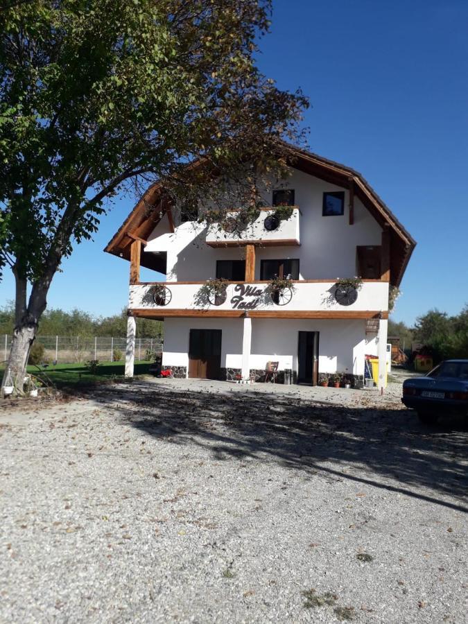 Vila Tadi Villa Avrig Bagian luar foto